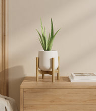 Load image into Gallery viewer, White stand:bamboo