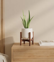 Load image into Gallery viewer, White stand:walnut