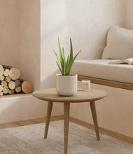 Load image into Gallery viewer, Cotton White