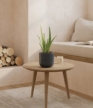 Load image into Gallery viewer, Iron Gray