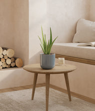 Load image into Gallery viewer, Misty Blue