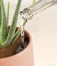 Load image into Gallery viewer, Calm Rose stand:all