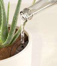 Load image into Gallery viewer, Cream stand:all