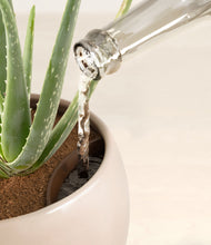 Load image into Gallery viewer, Desert Brown stand:all