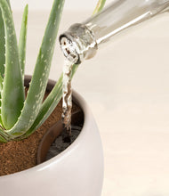 Load image into Gallery viewer, Winter Clouds stand:all