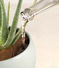 Load image into Gallery viewer, Deep Ocean stand:all