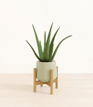 Load image into Gallery viewer, Turquoise stand:bamboo