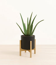 Load image into Gallery viewer, Black stand:bamboo