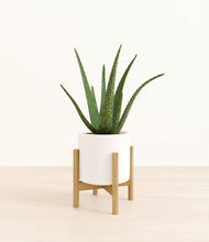 Load image into Gallery viewer, White stand:bamboo