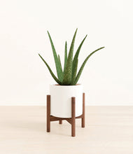 Load image into Gallery viewer, White stand:walnut