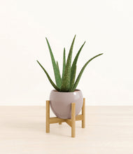 Load image into Gallery viewer, Winter Clouds stand:bamboo