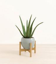 Load image into Gallery viewer, Deep Ocean stand:bamboo