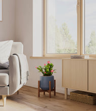 Load image into Gallery viewer, -