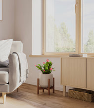 Load image into Gallery viewer, -