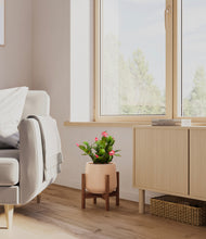 Load image into Gallery viewer, -