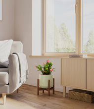 Load image into Gallery viewer, -