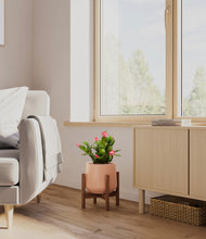 Load image into Gallery viewer, -