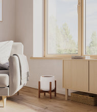 Load image into Gallery viewer, Walnut