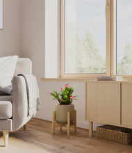 Load image into Gallery viewer, -