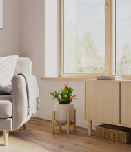 Load image into Gallery viewer, -