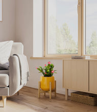 Load image into Gallery viewer, -