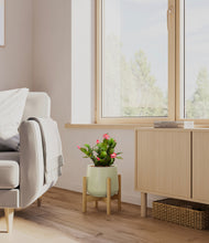 Load image into Gallery viewer, -