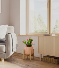 Load image into Gallery viewer, -