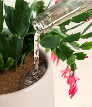 Load image into Gallery viewer, -