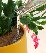 Load image into Gallery viewer, -