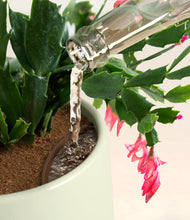 Load image into Gallery viewer, -