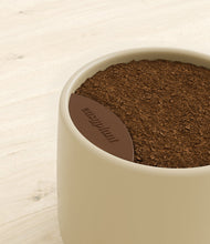 Load image into Gallery viewer, Almond Green stand:all