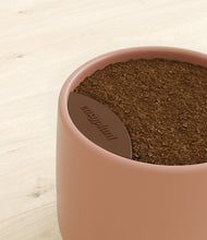 Load image into Gallery viewer, -