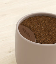 Load image into Gallery viewer, -