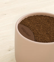 Load image into Gallery viewer, -