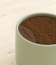 Load image into Gallery viewer, -