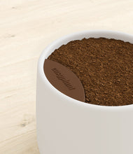 Load image into Gallery viewer, -