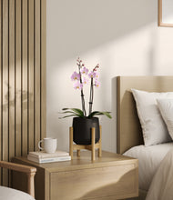 Load image into Gallery viewer, Black stand:bamboo