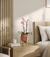 Load image into Gallery viewer, Striped Rose Pink stand:bamboo