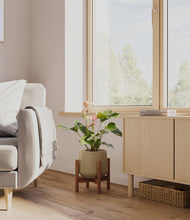 Load image into Gallery viewer, Olive stand:walnut