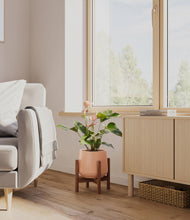 Load image into Gallery viewer, Calm Rose stand:walnut