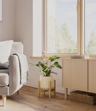 Load image into Gallery viewer, Almond Green stand:bamboo