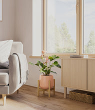 Load image into Gallery viewer, Calm Rose stand:bamboo