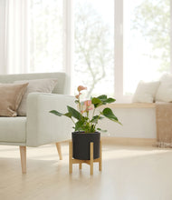 Load image into Gallery viewer, Black stand:bamboo