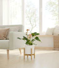 Load image into Gallery viewer, White stand:bamboo