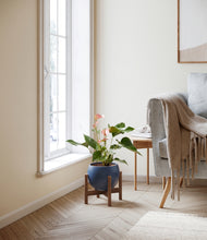 Load image into Gallery viewer, Deep Navy stand:walnut