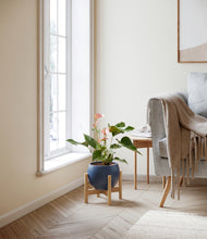 Load image into Gallery viewer, Deep Navy stand:bamboo