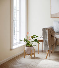 Load image into Gallery viewer, Desert Brown stand:bamboo
