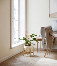 Load image into Gallery viewer, Shiny Eggwhite stand:bamboo