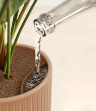 Load image into Gallery viewer, Striped Rose Pink stand:all