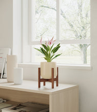 Load image into Gallery viewer, Almond Green stand:walnut